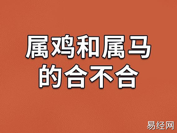 属鸡和属马的合不合