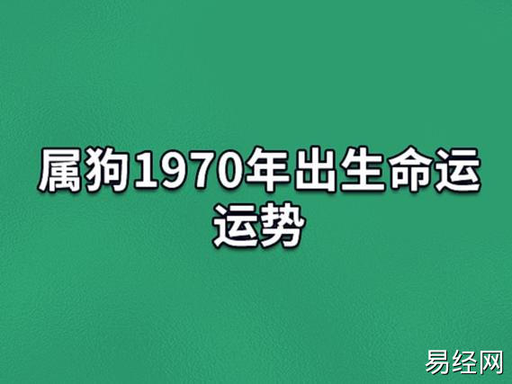 属狗1970年出生命运运势:健康运差(财运很好)_吉星堂