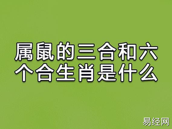 属龙生肖鼠的人在12生肖中三合的属相之一是生肖龙,有兴趣可以看看属