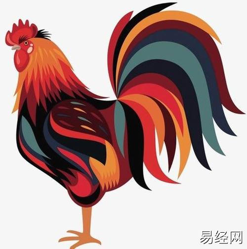 什么时辰出生的属鸡人运势会比较好呢?(下)-生肖鸡-风水八字同城网