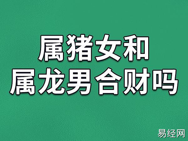 12生肖中的生肖猪一般被认为是比较有福气的属相,龙也是大家都很喜欢