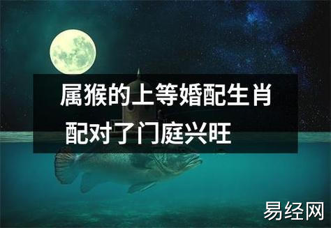 属猴2023年运势及运程_属猴的今年多大_和什么属相配_几月出生命好