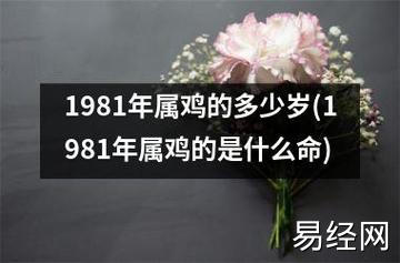 1981年属鸡的多少岁(1981年属鸡的是什么命)