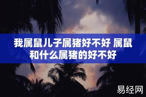 我属鼠儿子属猪好不好 属鼠和什么属猪的好不好