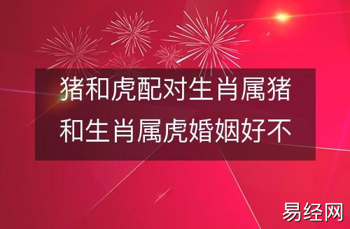 猪和虎配对生肖属猪和生肖属虎婚姻好不好