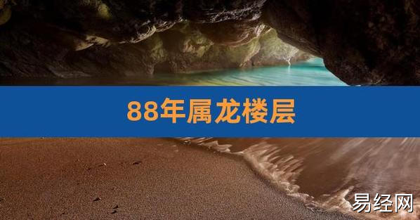 88年属龙楼层