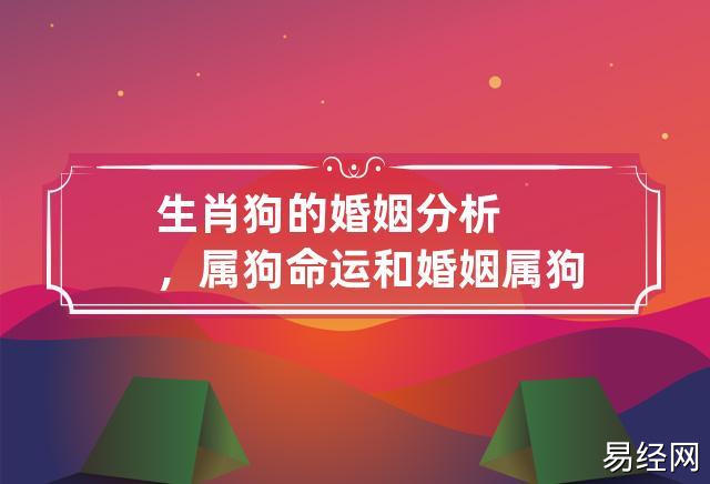 生肖狗的婚姻分析,属狗命运和婚姻 属狗的婚姻状况