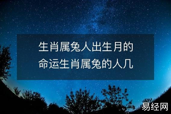 生肖属兔人出生月的命运生肖属兔的人几月出生优秀命