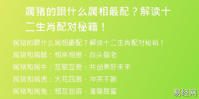 属猪的跟什么属相最配?解读十二生肖配对秘籍!-易连网