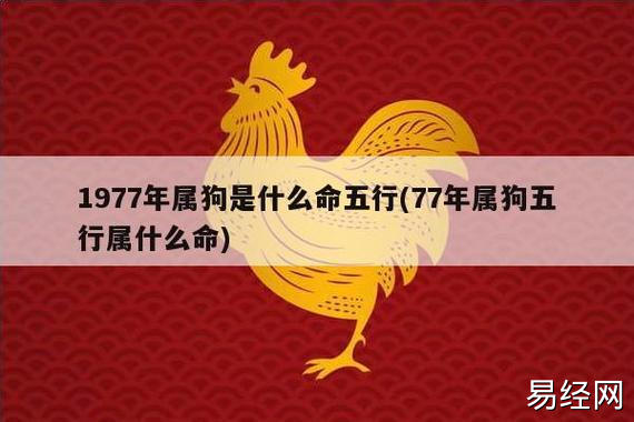 1977属狗最佳婚配属相,1977年男命的最佳配偶是哪个属相