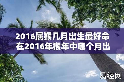 2023属猴几月出生最好命 在2023年猴年中哪个月出生的人命运最好