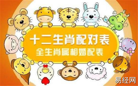 属猪的和什么属相最合财 对属猪有利的属相 - 卜安居