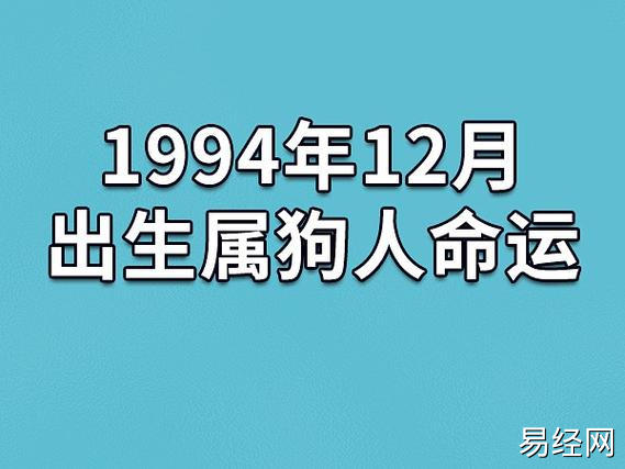 1994年12月出生属狗人命运