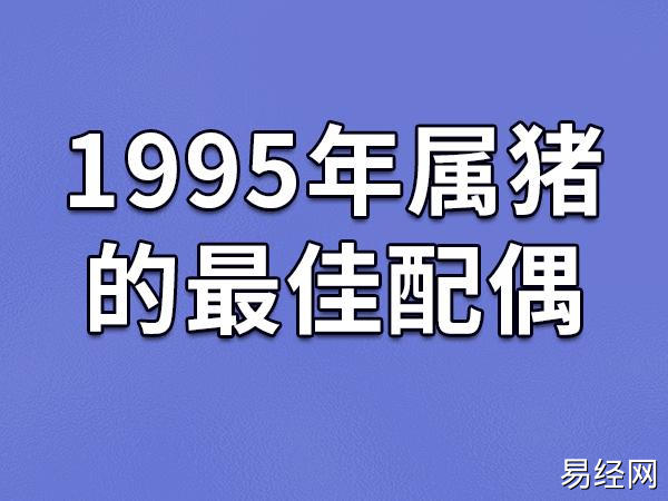 1995年属猪的最佳配偶