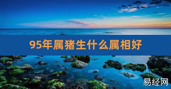 95年属猪生什么属相好,95年的猪和什么属相最配