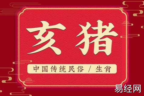 1995年属猪的今年多大了2023,95年的生肖猪兔年命运如何