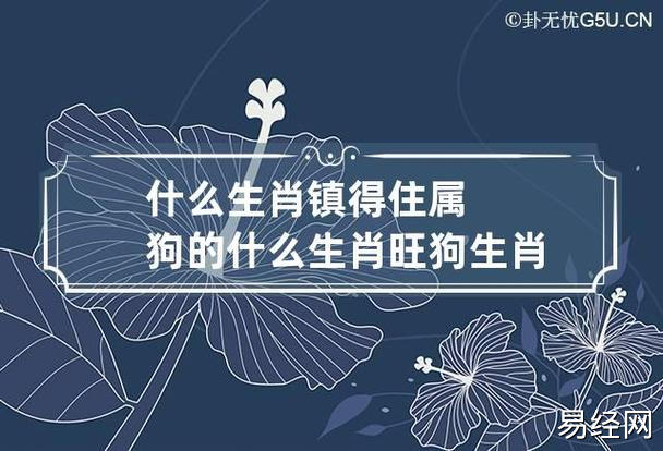 什么生肖镇得住属狗的 什么生肖旺狗生肖