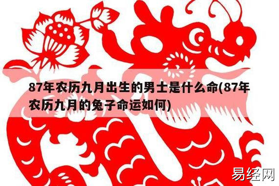 1987年属兔九月初四生日,请问是什么命?