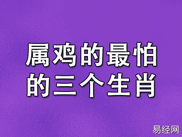 属鸡人最怕的三个属相你才出来是谁了吗,没错他们就是属兔,属鸡,属龙