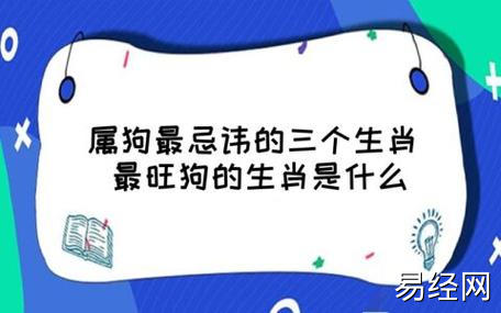 属狗最忌讳的三个生肖 最旺狗的生肖是什么