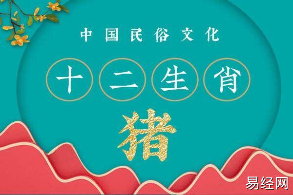 1995年属猪的今年几岁了 28岁的属猪人2023年运势及运程详解