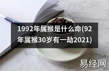 1992年属猴是什么命(92年属猴30岁有一劫2023)