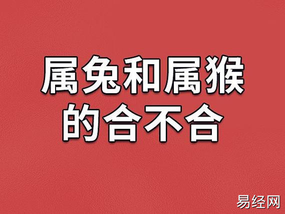 通过属相看两个合不合一直沿用至今,很多人用属相来判断两个能不能