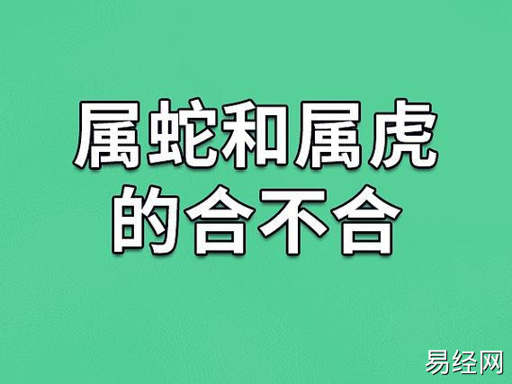 蛇妈妈和虎宝宝合不合的生肖,有你吗?_属相网