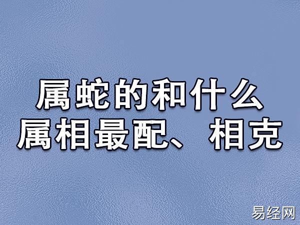 属蛇的和什么属相最配,相克:属牛/属鸡/属虎