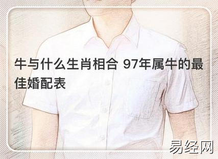 牛与什么生肖相合 97年属牛的最佳婚配表