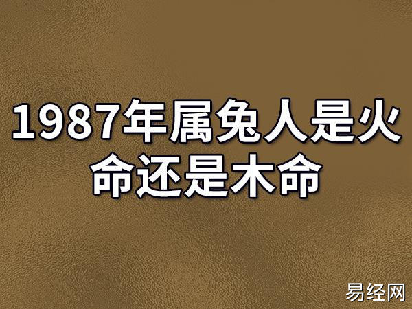 1987年属兔人是火命还是木命