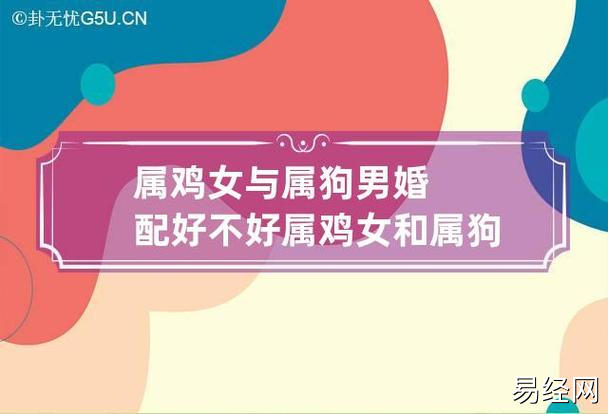 而夫妻之间的生肖配对也是影响因素之一,那么属鸡女与属狗男婚配好不