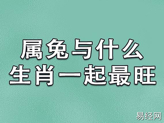 属兔羊吃草时辰出生什么意思_属兔和属羊的_属兔养什么植物旺财转运最