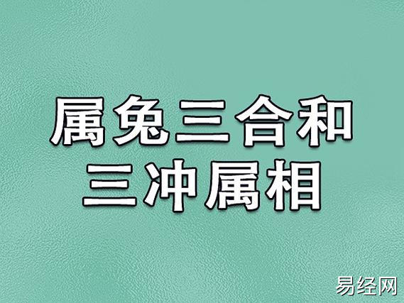 属兔三合和三冲属相