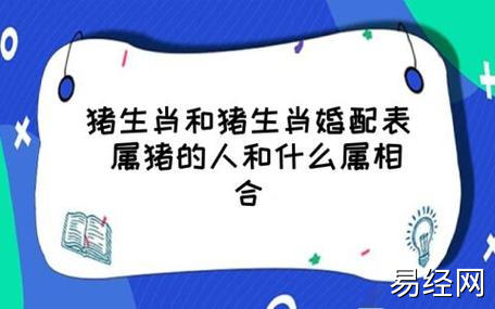 猪生肖和猪生肖婚配表 属猪的人和什么属相合