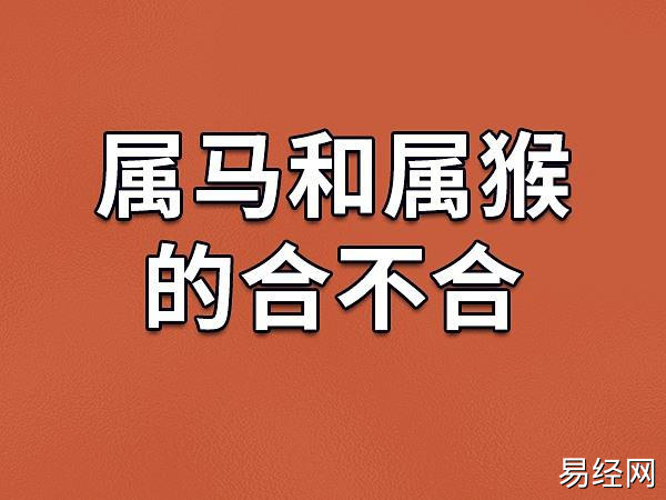 属马和属猴的两个人性格方面应该是在所有属相中最相似的了.