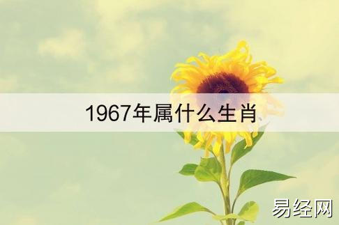 1967年属什么生肖(1967年属羊的人特点及命运分析)