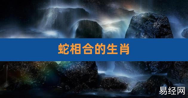 生肖蛇的人相合生肖相是生肖牛,生肖鸡.【属蛇的和什么属相最配?