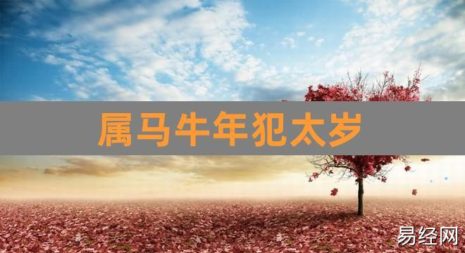 属马牛年犯太岁(2023犯太岁一般佩戴什么)