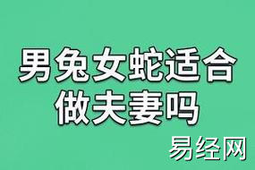 其实属兔男生和属蛇的人搭配还是比较一般般的,但是属蛇女生和属兔