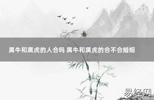 属牛和属虎的人合吗 属牛和属虎的合不合婚姻-八字合婚网