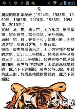 1995年女属猪的属相婚配表,95年属猪跟什么属相配