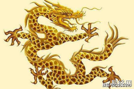 【屬龍】生肖屬龍住幾樓最旺 屬龍的買房買幾樓最好,易經(jīng)網(wǎng)推薦生肖屬龍