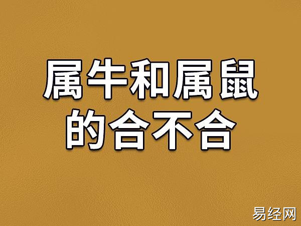 牛与鼠为六合,属于生肖组合中最具化学反应的关系,投资合作与团队协作