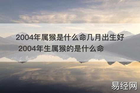 2004年属猴是什么命几月出生好 2004年生属猴的是什么命