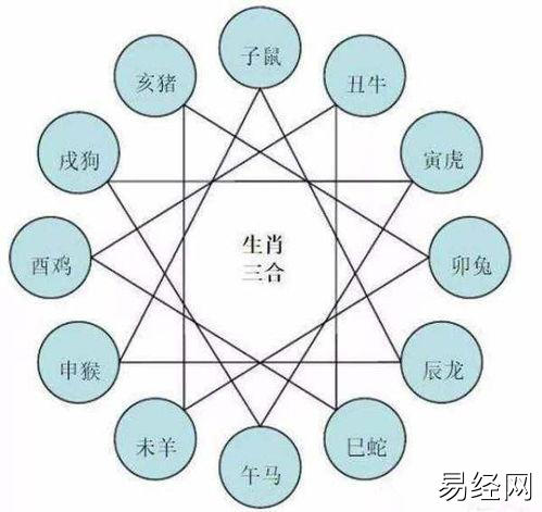 属相也会相生相克,属猴和什么属相犯冲