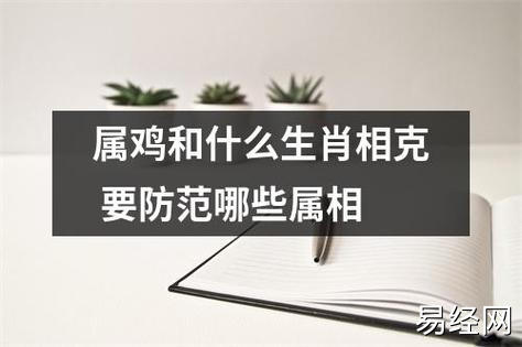 属鸡和什么生肖相克要防范哪些属相