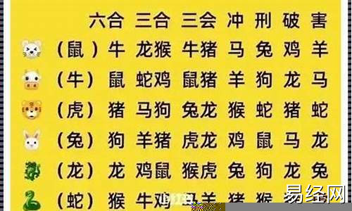 2026是什么生肖年份-二0二六什么生肖属相好最好呢