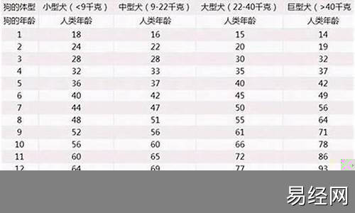 属狗79岁今年能躲过去吗-属狗今年七十几