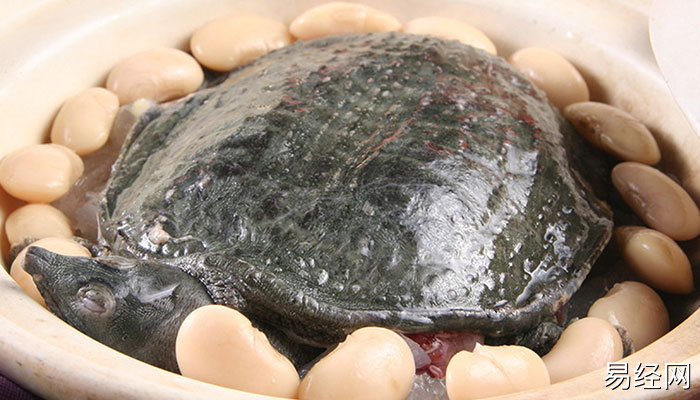 男人梦见满身的老鼠有什么预兆 男人梦见满身的老鼠什么意思